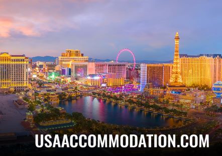 Tourism manager hot air ballons